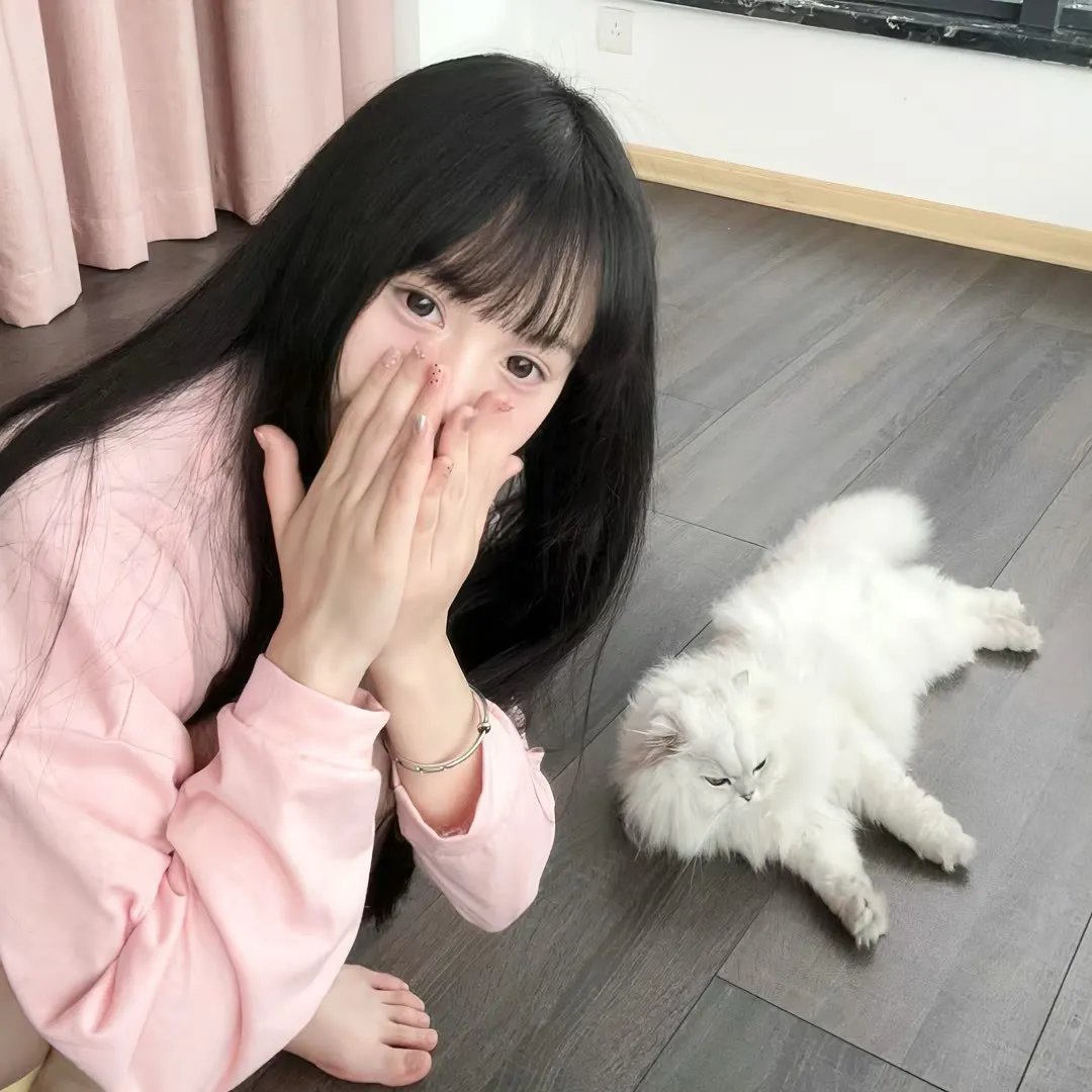 淘气飞行猴